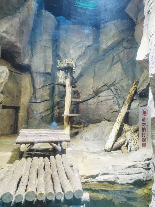哈爾濱波塞冬海底世界丨打卡奇幻的海底王國