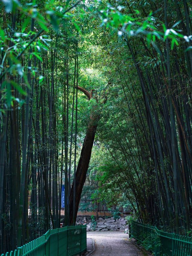 山東還有鮮為人知的泉水別只去趵突泉了