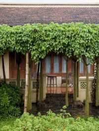 🌿🛌 Ninh Binh's Emerald Escape: Resort Bliss & Nature 🌄