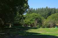 夏日森系秘境，來顧村公園“森呼吸”