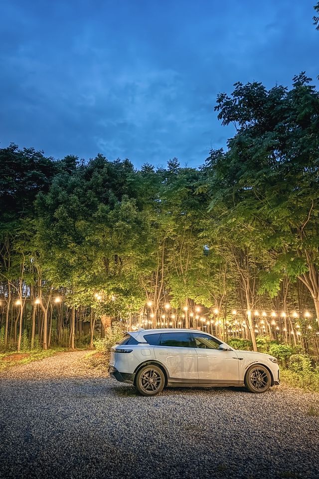 不想回來武漢出發1h住進森林營地小木屋