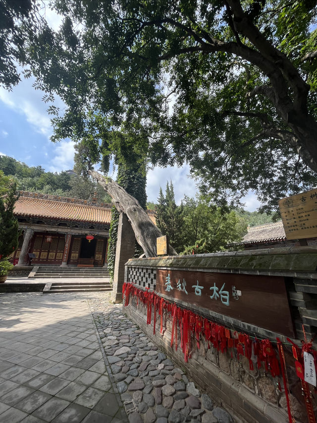 天水麻辣燙之行∣南郭寺，沒有南郭先生，卻有杜少陵
