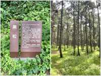 淨月潭遊玩攻略（五）