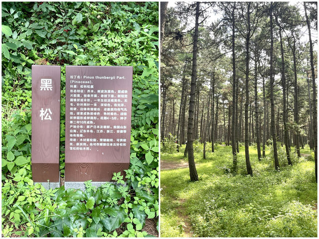淨月潭遊玩攻略（五）