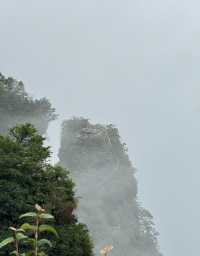 湖北咸寧九宮山丨“九宮清涼，避暑天堂”