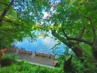 吉林通化三角龍灣國家森林公園｜國慶最美賞秋之選。