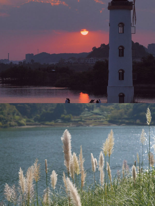 今日為大家推介一個千島湖的小眾打卡地點 — 千島湖植物園。