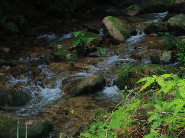 郴州桂東•國慶反向旅遊勝地。