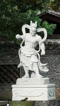 梅花洲怎麼變成綠野仙蹤了。