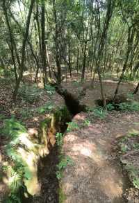 9.18 松山大戰遺址紀念園 ——緬懷民族英雄。