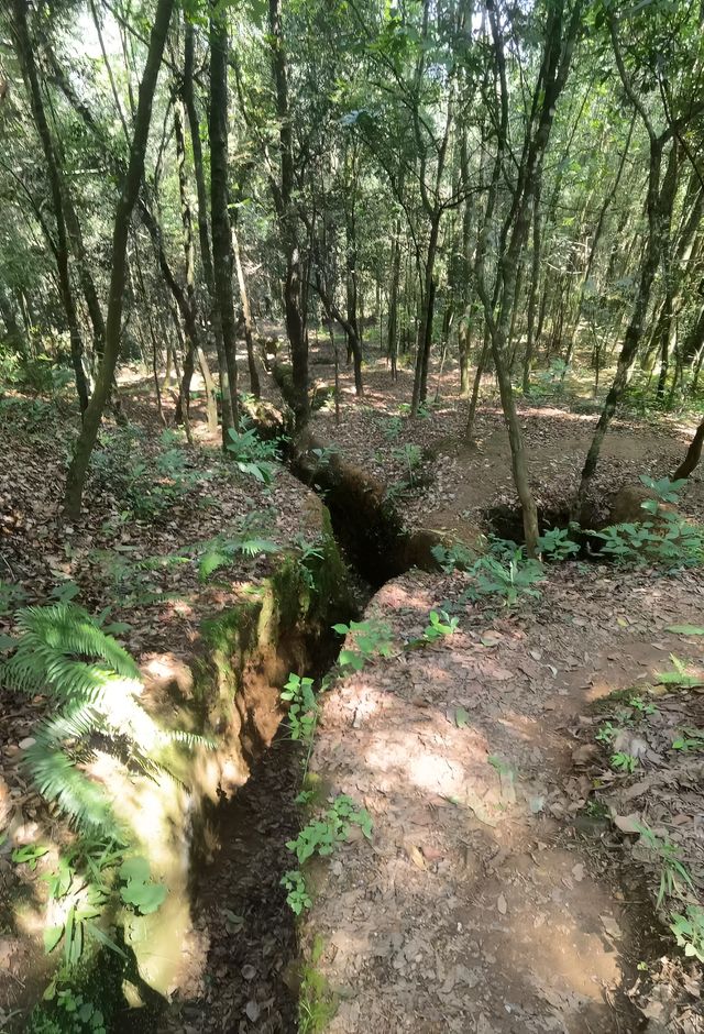 9.18 松山大戰遺址紀念園 ——緬懷民族英雄。