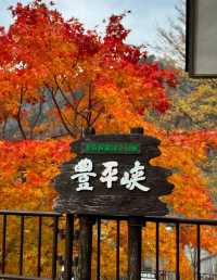 北海道秋天的《定山溪》。
北海道定山溪「紅葉季」遊覽路線和景點推薦