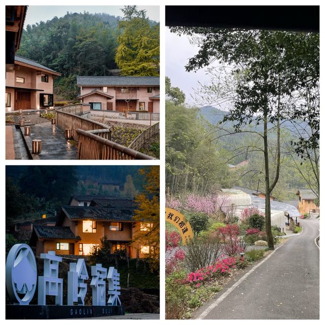 秋意濃，吉安繪就多彩畫卷。