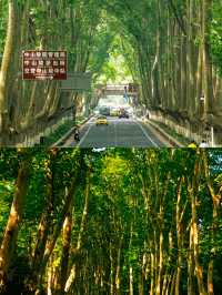 人生建議：抵達南京第一站從這裡開始 Citywalk。
