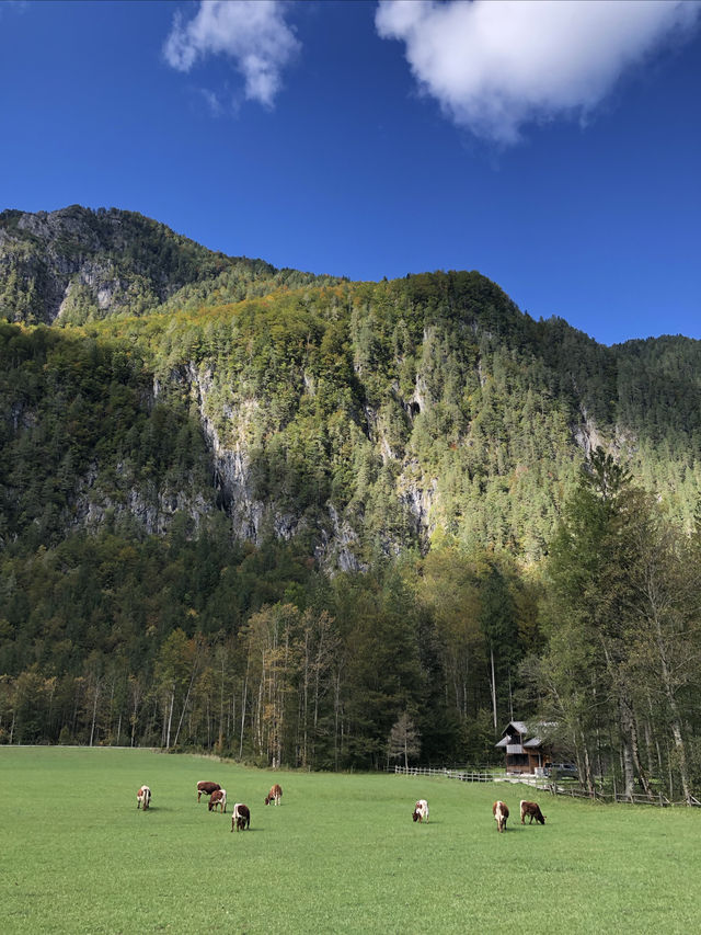 秋天徒步來 Logar Valley 感受世外桃源。 秋天徒步來 Logar Valley 感受世外桃源。