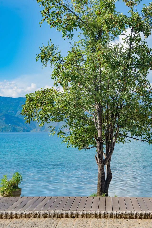 瀘沽湖｜住進這片治癒系的湖光山色吧 。