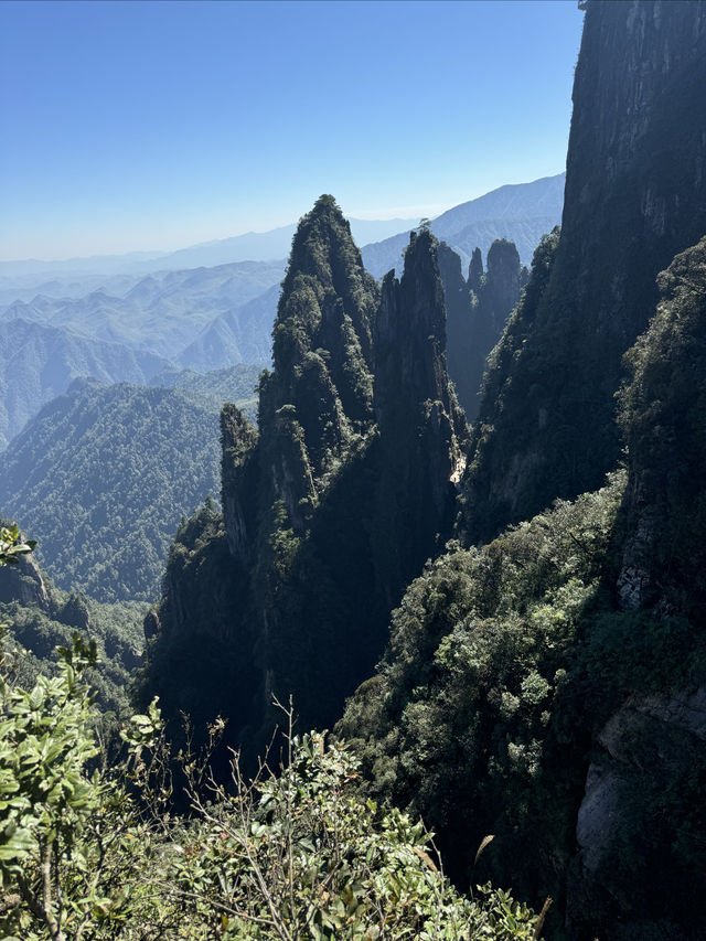 莽山——一座不用爬的山。