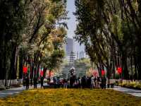 Stunning Park in Xining!