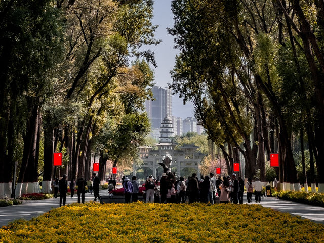 Stunning Park in Xining!