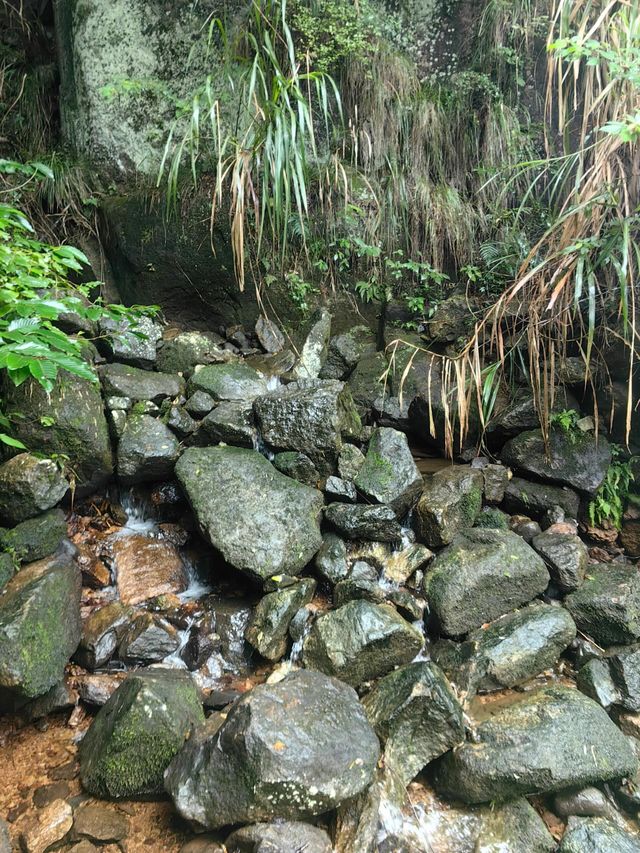 浙江麗水蛟龍大峽谷後悔沒早點來這徒步勝地。