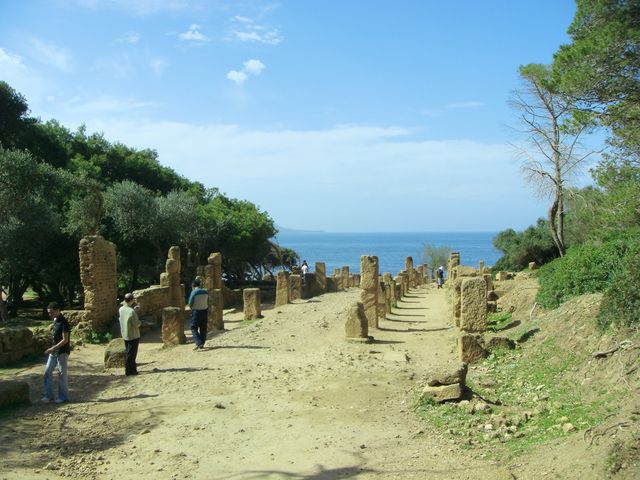 古羅馬遺址公園。