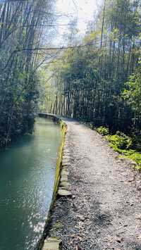 戶外行山一日遊｜桐廬•馬嶺古道。