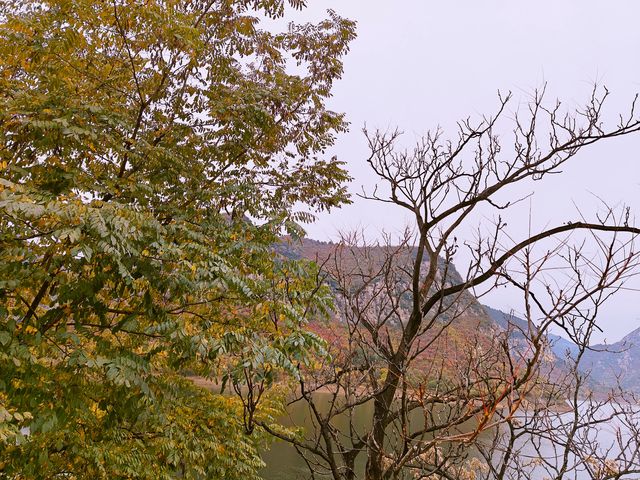 青塔湖濕地公園。