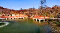 紅葉染盡「坡峰嶺」。