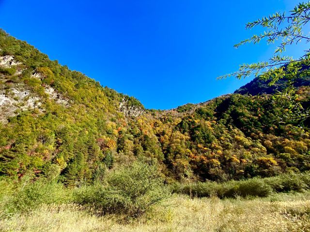 四川米亞羅‖秋日賞景勝地，美若仙境。