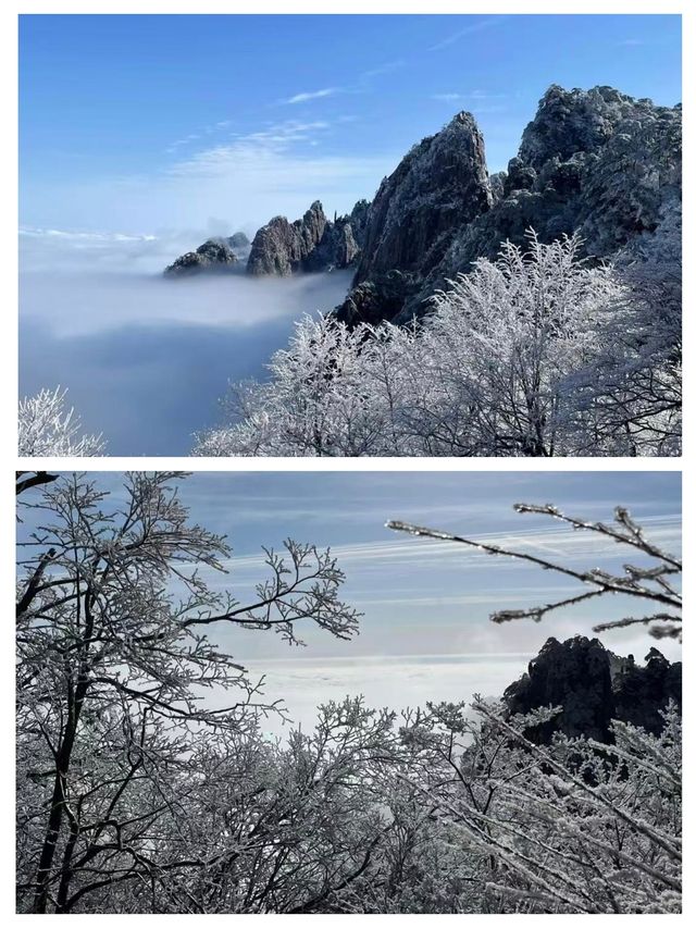 這裡不是張家界。