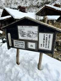 Exploring Nyuto Onsen: A Unique Bathing Experience