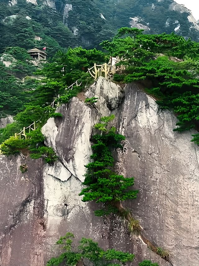【寶藏】湖北黃岡的天堂寨，戶外探險的絕絕子！
