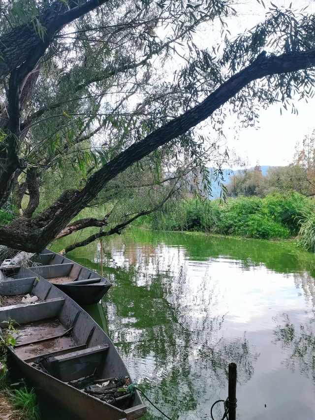 在昆明 | 這是一個很棒的景點，性價比很高。