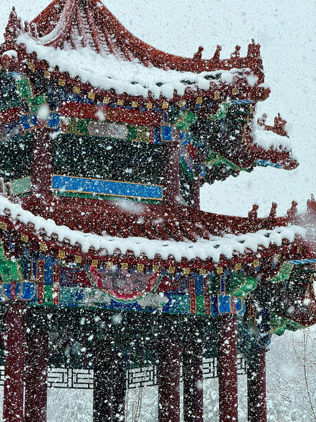 大連初雪絕美 勞動公園張張封神！