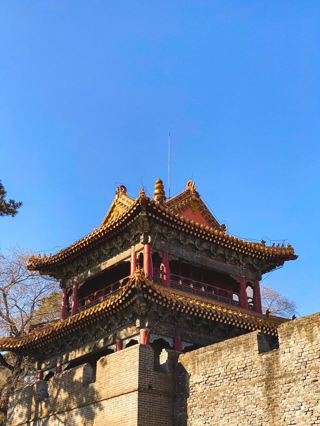 瀋陽