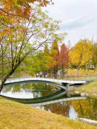 成都單車之旅，我願稱之為最美綠道公園
