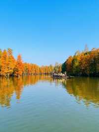12月獨有的浪漫｜尚湖的秋藏不住了