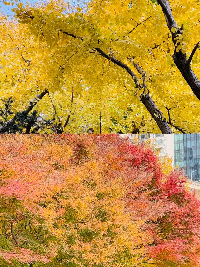 上海延中綠地附近冷門公園已美到封神附路線 上海延中綠地附近冷門公園已美到封神附路線