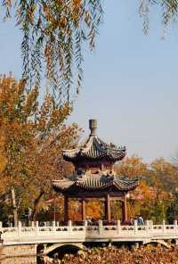 探天津北寧公園秋之美：秋的終極棲息之所