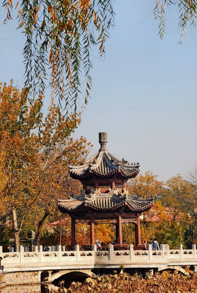 探天津北寧公園秋之美：秋的終極棲息之所