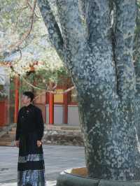 戒台寺 | 相隔6年，跨年敲鐘，來這裡就夠啦