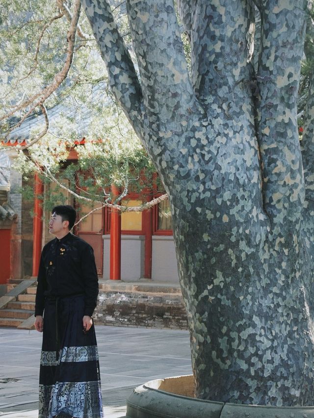 戒台寺 | 相隔6年，跨年敲鐘，來這裡就夠啦