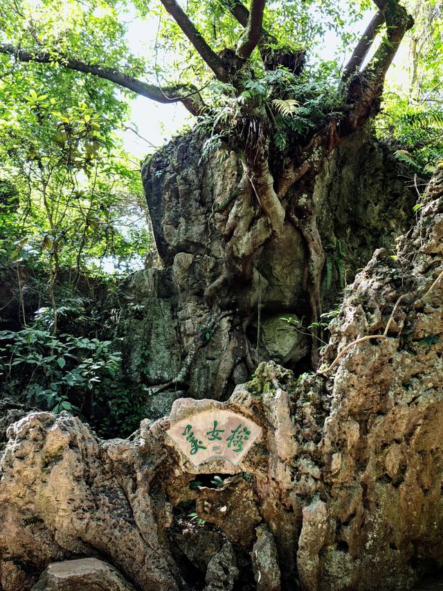 1月關嶺寶藏遊玩攻略來襲，去前寶子們看看