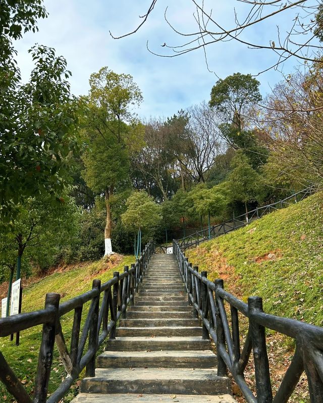 嘉興乍浦九龍山國家森林公園，一場自然與歷史的盛宴