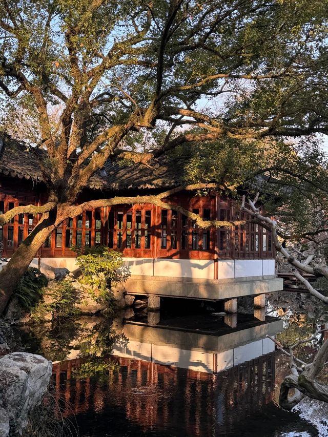 拍到就是賺到西湖美景