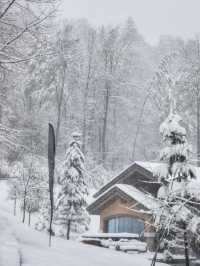 不在北歐，也能從酒店滑入粉雪