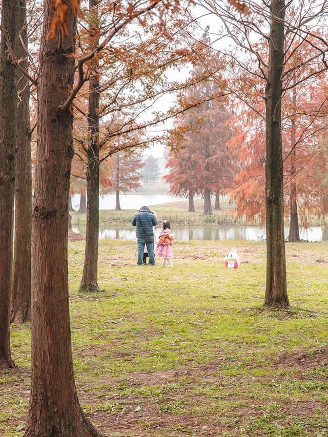 青西郊野公園