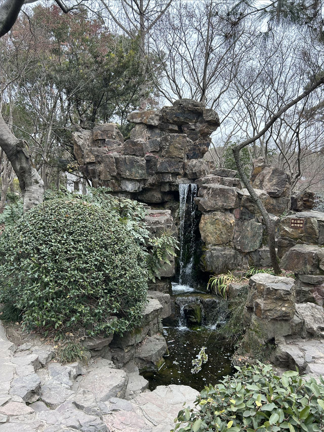 秋霞圃｜上海著名古典園林，一步一景，秀色迷人