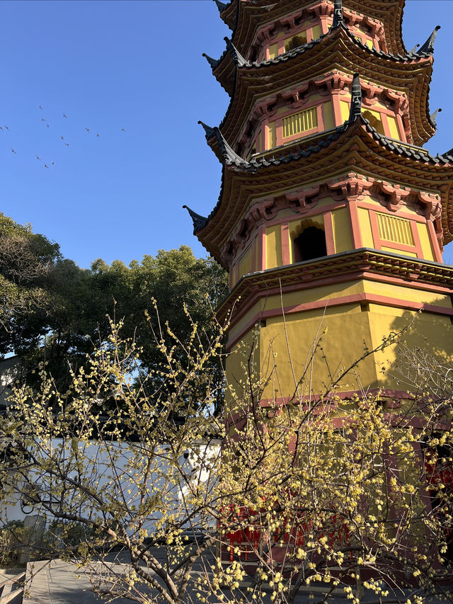 巷子裡的寶藏古建築|獨一無二的蘇州雙塔