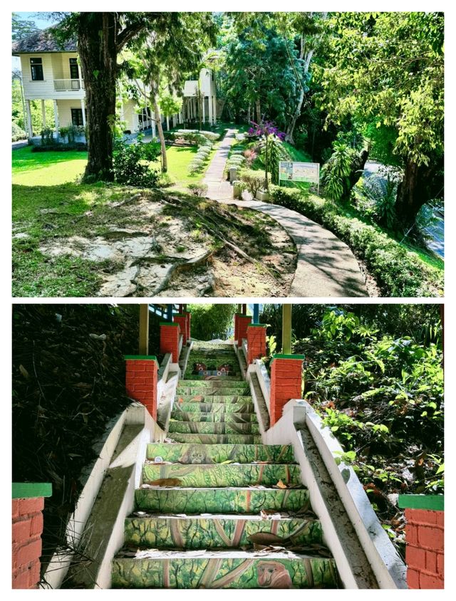 山打根，逃離現實，奔赴一場雨林與城市的雙重盛宴。